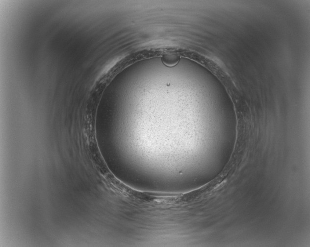 X0000062600871200512230850
