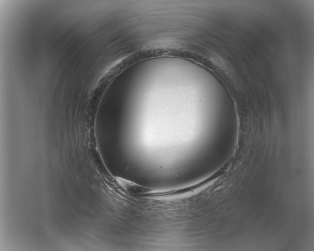 X0000062600872200512230850