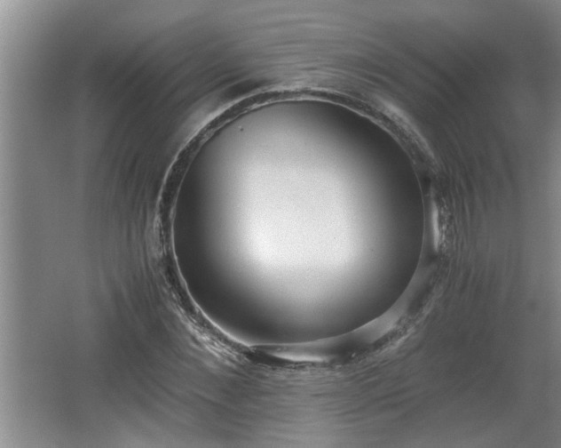 X0000062600876200512230850