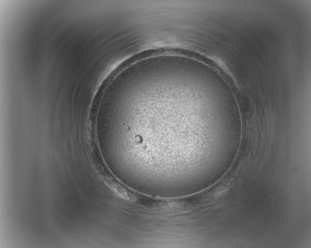 X0000062600879200512230850