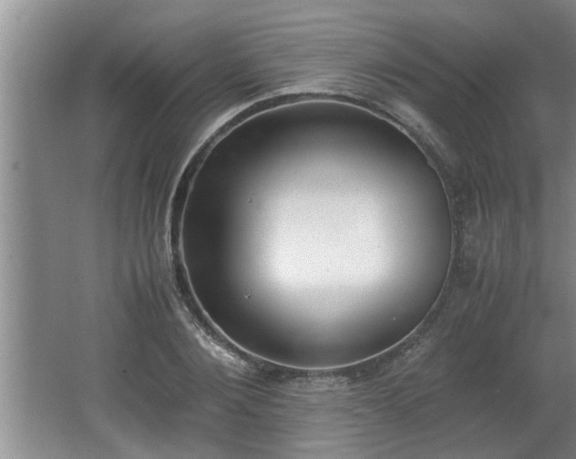 X0000062600884200512230850
