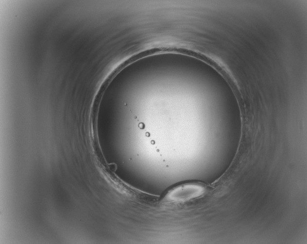 X0000062600887200512230850