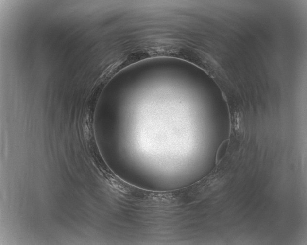 X0000062600915200512230848