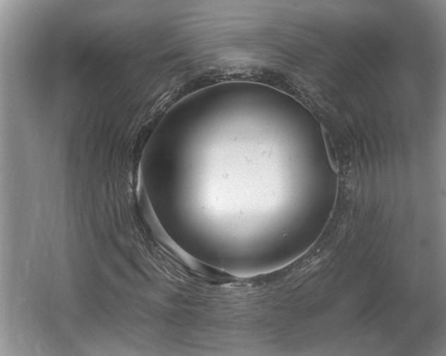 X0000062600916200512230848