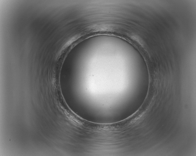 X0000062600922200512230848