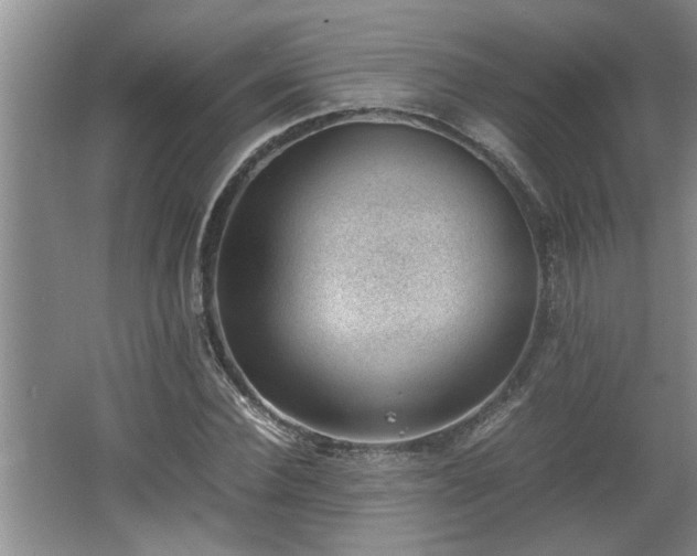X0000062600924200512230848