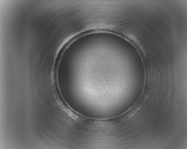 X0000062600928200512230848