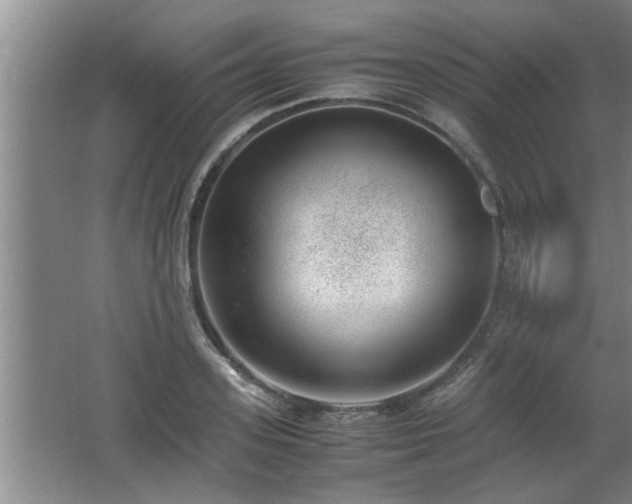 X0000062600939200512230849