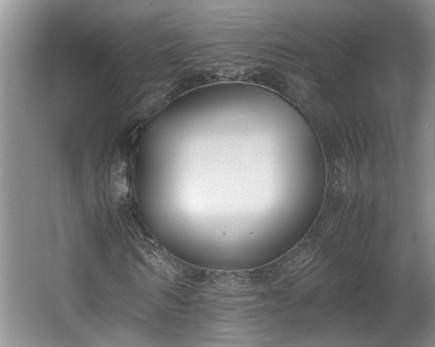 X0000062600962200512230848