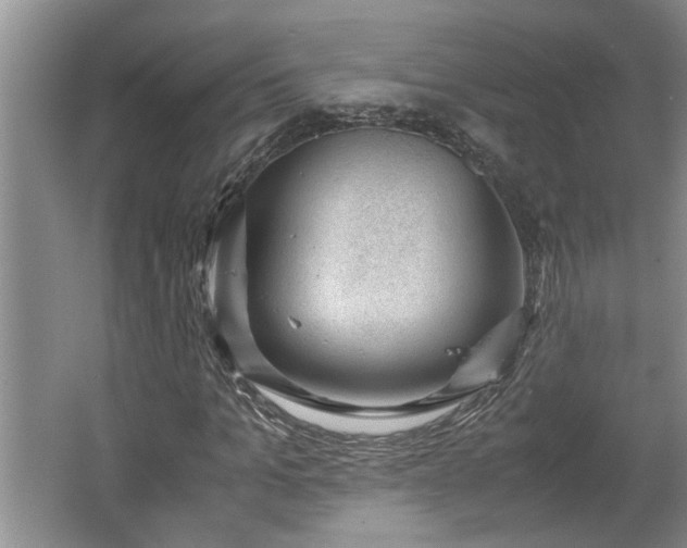 X0000062600965200512230848