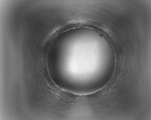 X0000062600967200512230848