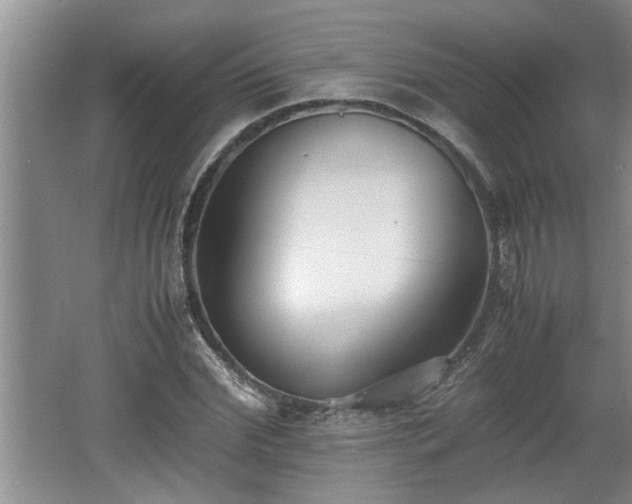 X0000062600972200512230848