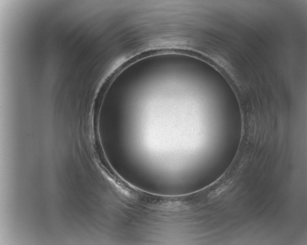 X0000062600982200512230848