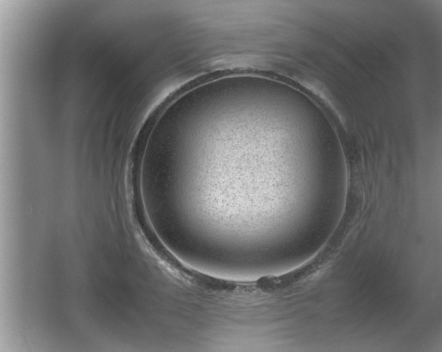 X0000062600983200512230848