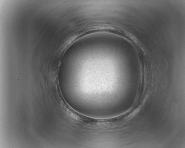 X0000062600985200512230848