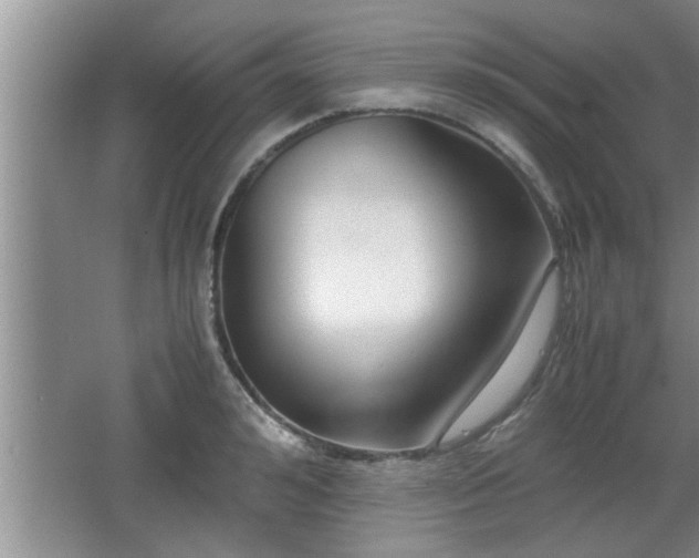 X0000062600992200512230848