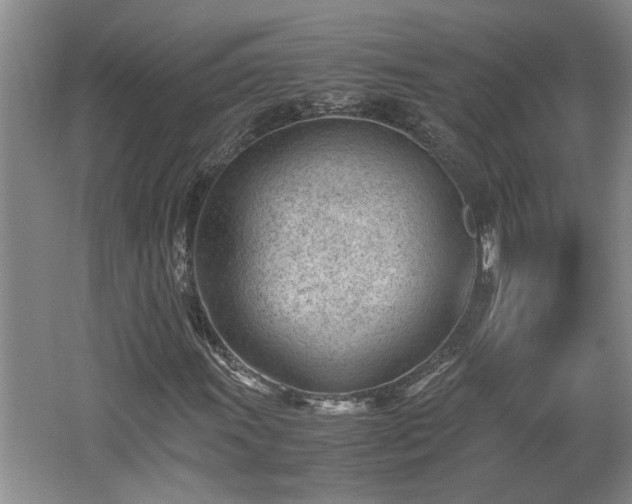 X0000062601011200512230847