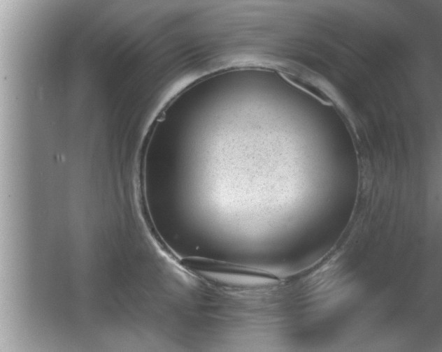 X0000062601048200512230847