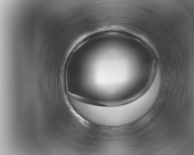 X0000062601054200512230847