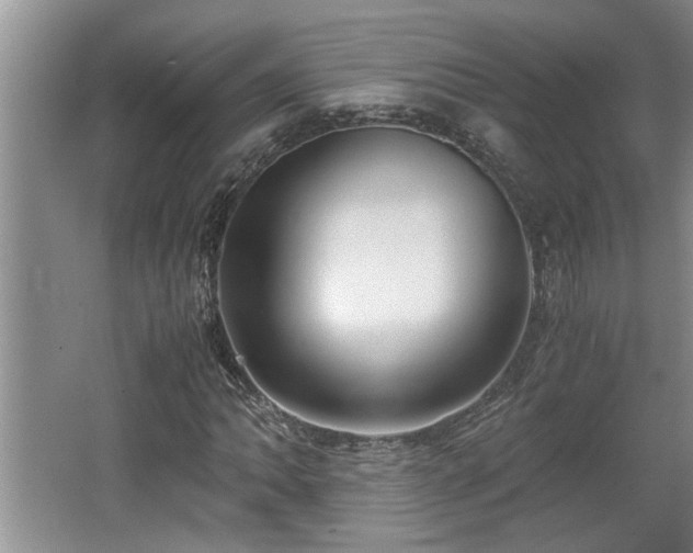 X0000062601062200512230846
