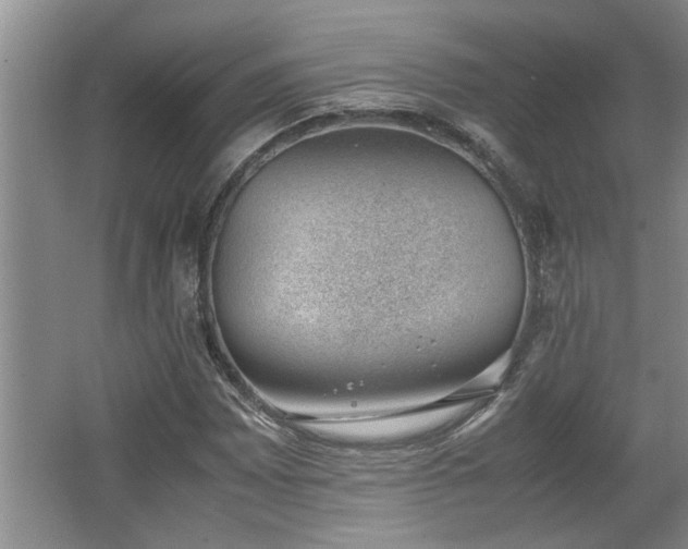 X0000062601065200512230846