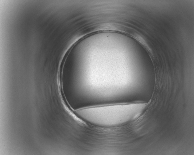 X0000062601084200512230846