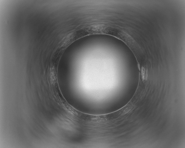 X0000062601107200512230845