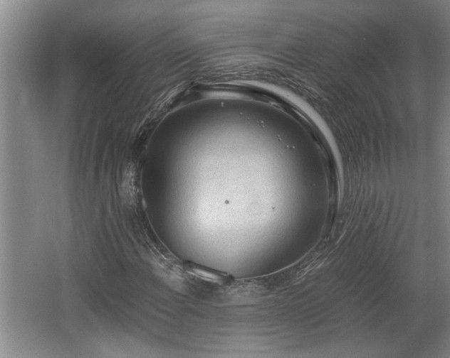 X0000062601108200512230845