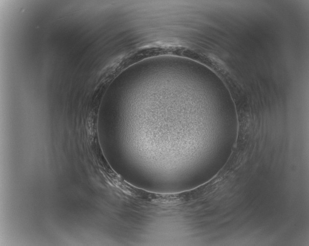X0000062601110200512230845