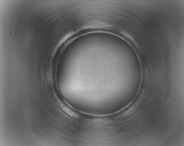 X0000062601114200512230845