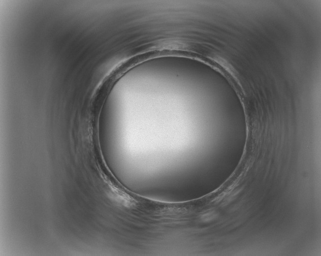 X0000062601115200512230845