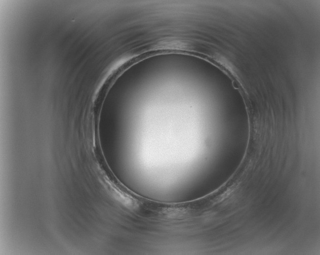 X0000062601123200512230845