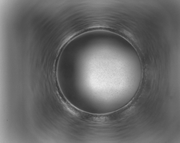 X0000062601129200512230845