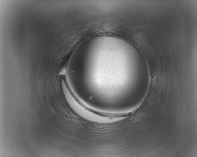 X0000062601156200512230845