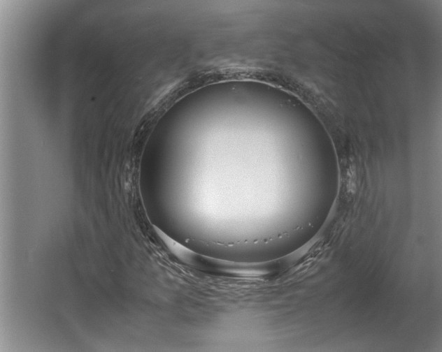 X0000062601157200512230845