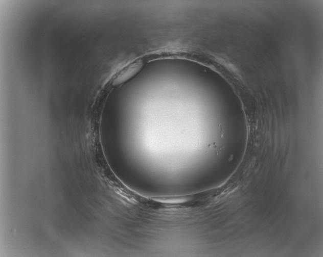 X0000062601160200512230845