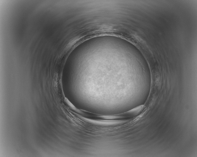 X0000062601161200512230845