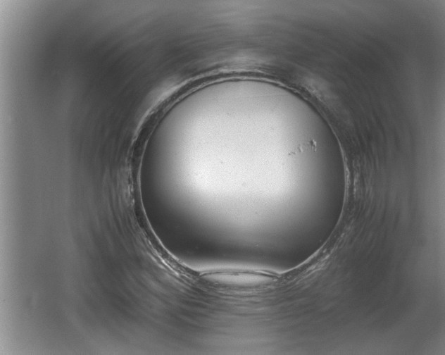 X0000062601164200512230845