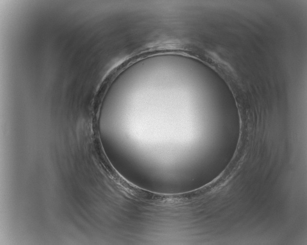 X0000062601166200512230845