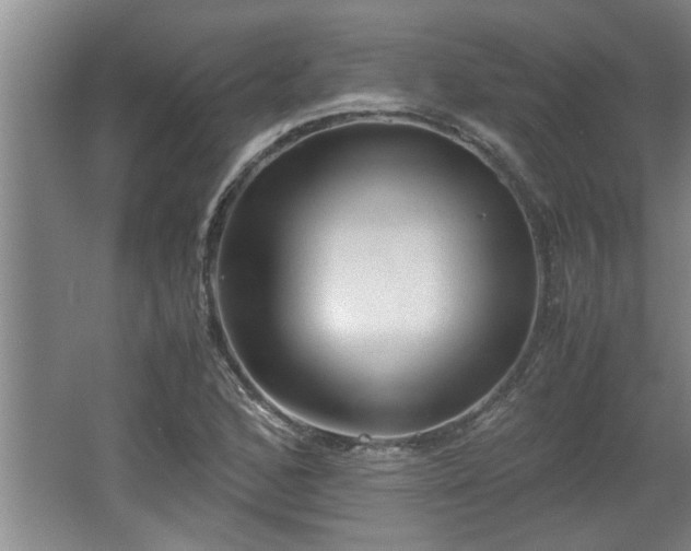 X0000062601168200512230845