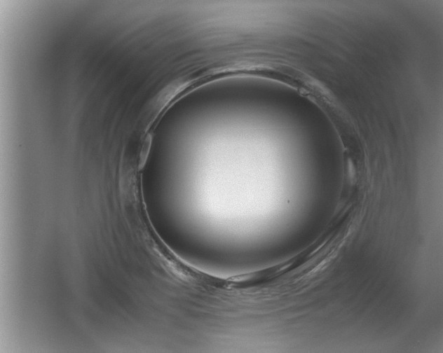 X0000062601177200512230844