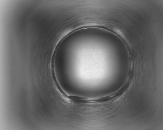 X0000062601181200512230844