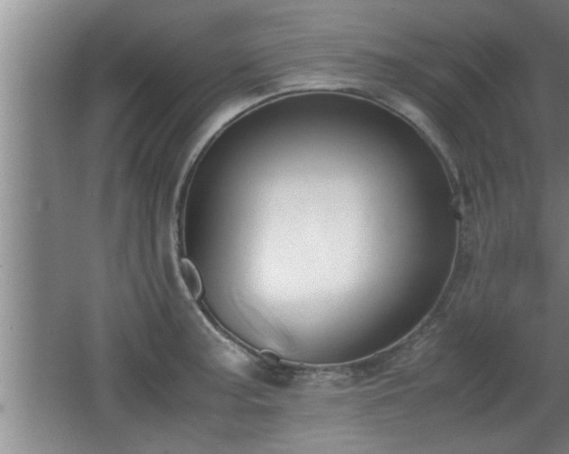 X0000062601187200512230844