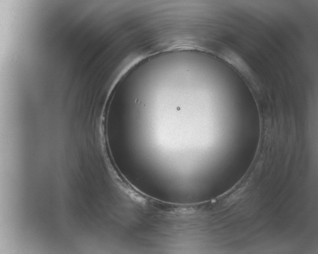 X0000062601190200512230844