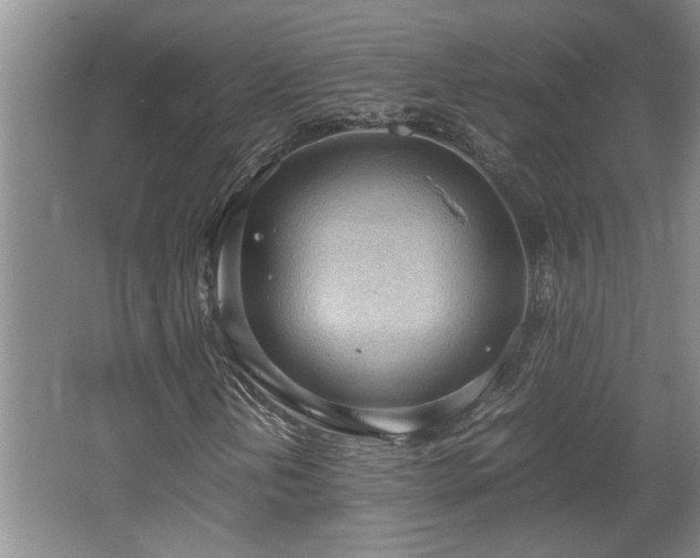 X0000062601202200512230843
