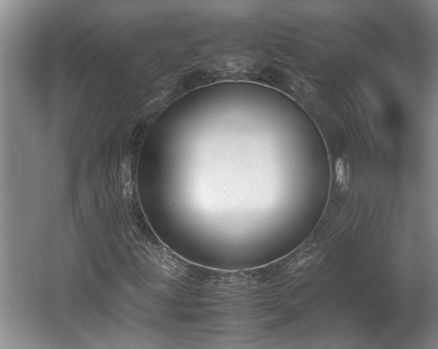 X0000062601203200512230843
