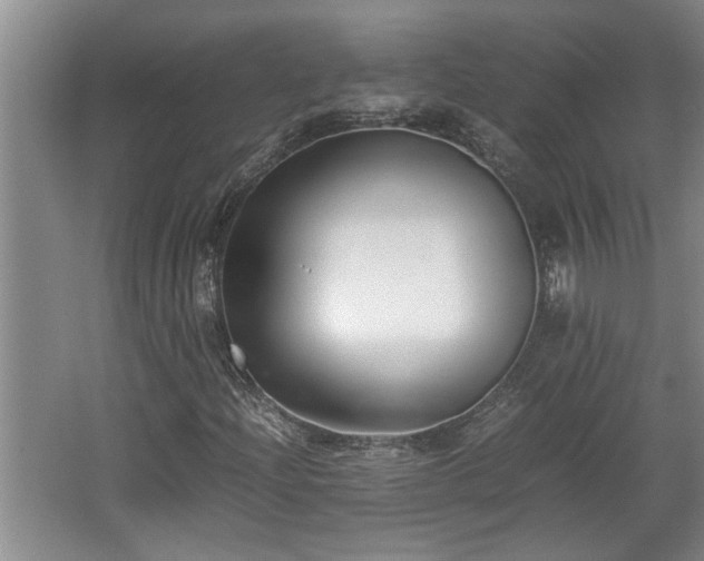 X0000062601204200512230843