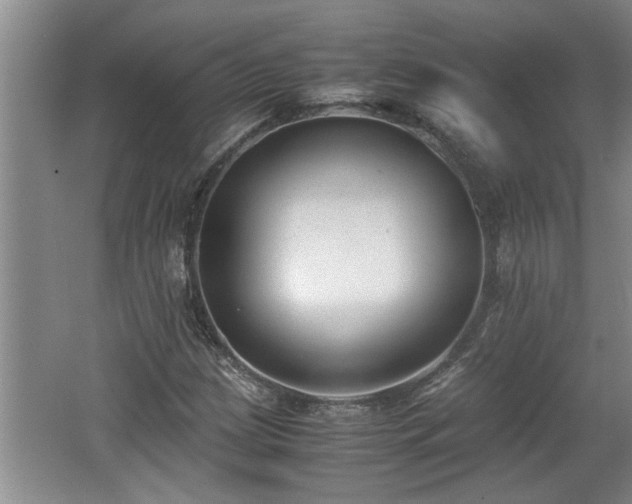 X0000062601209200512230843