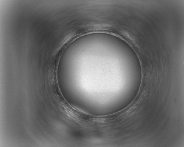 X0000062601211200512230843