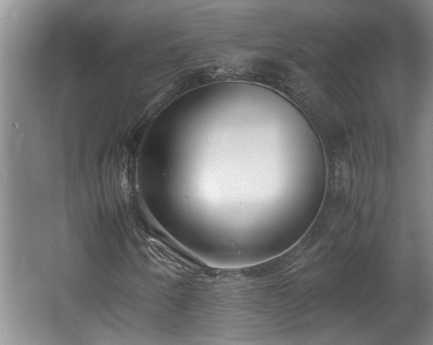 X0000062601250200512230843